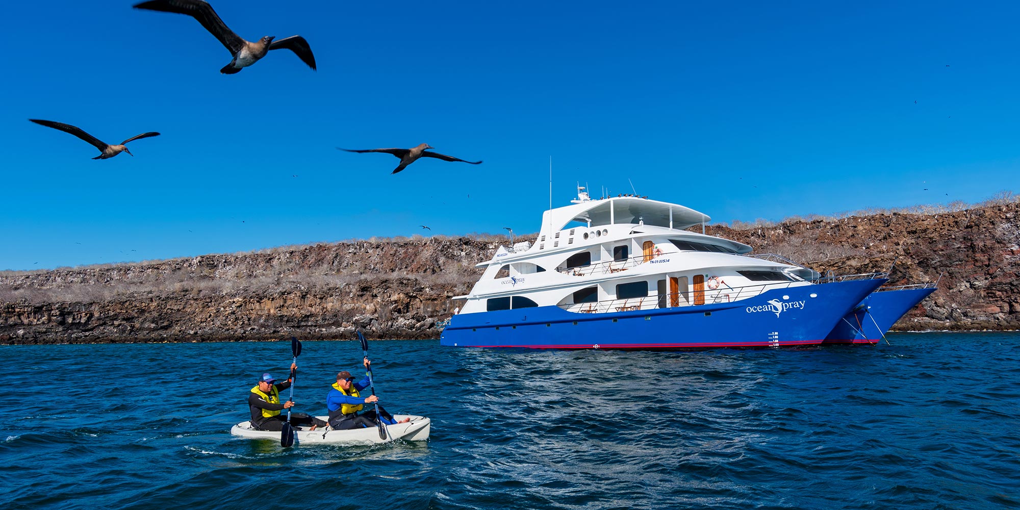 luxury charter galapagos passion